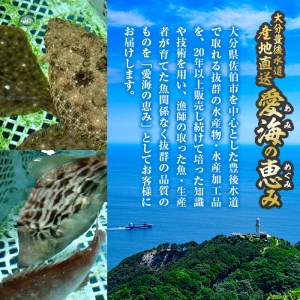 天然 ホウボウ (約2kg・計3-5本) 直送 産直 漁師 魚 鮮魚 天然 ホウボウ 魴ぼう 白身魚 獲れたて 刺身 煮つけ 塩焼き 冷蔵 豊後水道 鮮魚 大分県 佐伯市【CS10】【 (有)丸昌水産】