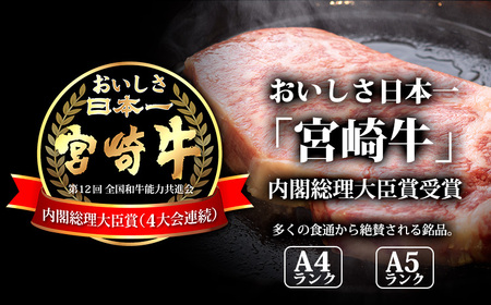 日本一美味しい黒毛和牛「宮崎牛」の網焼き用・焼肉用セット(2kg)  内閣総理大臣賞4回連続受賞のブランド牛 TF0285-P00020