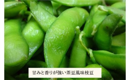 国産『冷凍えだまめ(3kg)』3kg(500g×6袋)  自社農場生産の枝豆 時短調理につながる冷凍野菜 TF0296-P00019