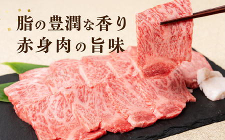 飛騨牛 カルビ焼肉 500g 冷凍 焼き肉 JAひだ 飛騨牛 [Q3002]