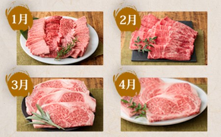 国産ブランド牛の定期便『宮崎牛づくし たかはる定期便 計9.6kg』黒毛和牛を12ヶ月お届け！ TF0308-P00020