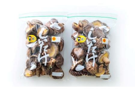 有機原木椎茸(薪室仕上げ)肉厚 有機栽培の国産しいたけ 有機JAS認証 TF0356-P00009