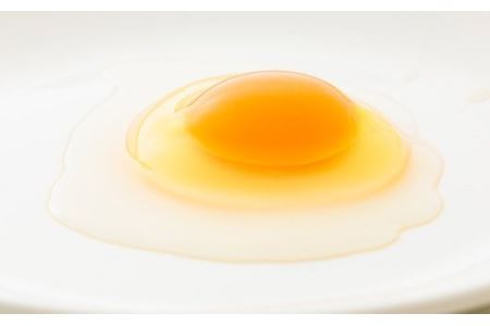 定期便《卵50個×6ヶ月間》産地直送たまご『きみの力(チカラ)』(年6回配送) Lサイズの大玉を6ヶ月間で合計300個お届け！ TF0448-P00035