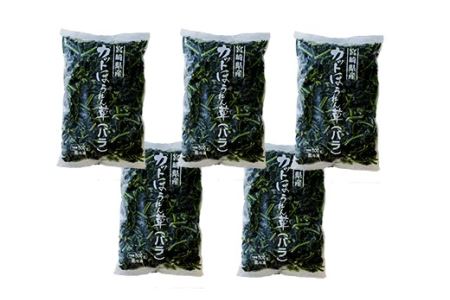 国産『冷凍ほうれん草』2.5kg(500g×5袋)  グローバルGAP取得の法蓮草 TF0477-P00019