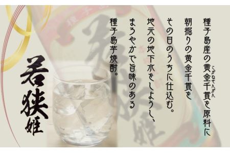種子島 本格 芋 焼酎 若狭姫 1.8L 一升瓶 2本　NFN022【375pt】 