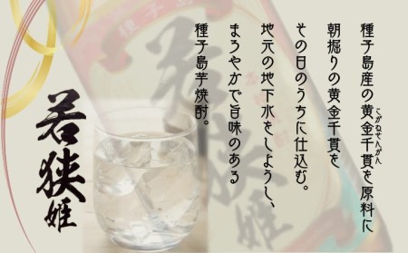 種子島 本格 芋 焼酎 若狭姫 900ml 2本　NFN025【300pt】 