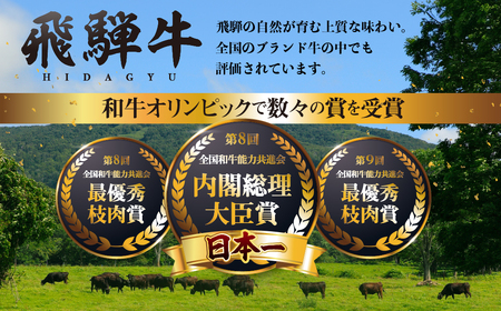 飛騨牛 がっつりカルビ 焼肉 500g [Q3116] カルビ