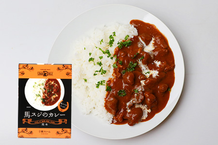 馬スジのカレー 10食 セット 合計2.1kg 【カレー レトルト レトルトカレー 馬すじ 馬スジ 馬 すじ スジ 時短 人気 熊本県 多良木町】 031-0423