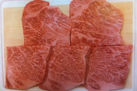 飛騨市推奨特産品　飛騨牛最高級5等級のロース・ハーフステーキ5枚で計500ｇをお届け！50000円 5万円[E0005xpi]