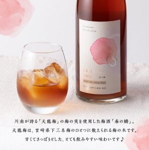 【数量限定】天龍梅の実を使用！オリジナル梅酒「春の鱗」（720ml×2本）