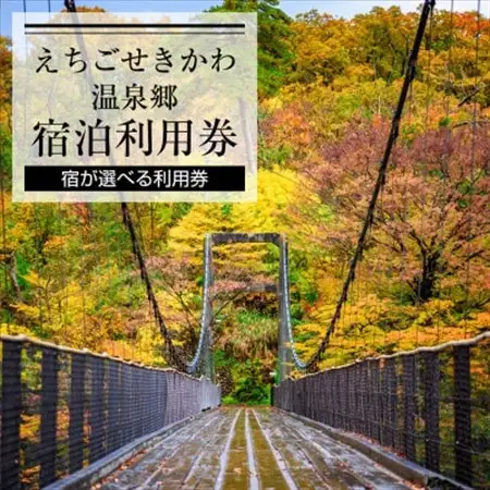 選ばれる温泉体験 9,000円分の温泉宿泊利用券【1278599】