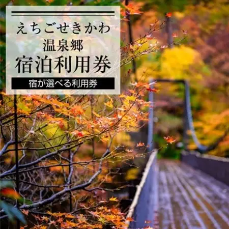 選ばれる温泉体験 15,000円分の温泉宿泊利用券【1278600】