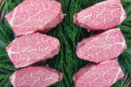 飛騨牛 シャトーブリアンステーキ　5等級　2回お届け　飛騨市推奨特産品　古里精肉店謹製[N0002pi] シャトーブリアン 飛騨牛 シャトーブリアン 牛肉 シャトーブリアン 黒毛和牛 シャトーブリアン A5等級 シャトーブリアン ステーキ シャトーブリアン 国産牛 シャトーブリアン