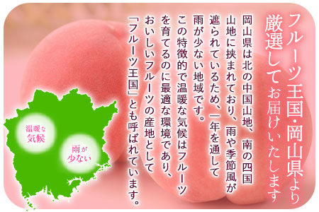 先行予約 清水白桃 約2kg 