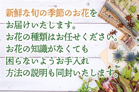 「全6回定期便」季節のアレンジメントフラワーをご寄付の翌月から6回お届け 贈り物やご自宅に 生花 誕生日 プレゼント ギフト おまかせ