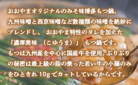 もつ鍋 おおやま 定期便 3回 みそ味 2人前 もつ鍋 [um40azo940008]