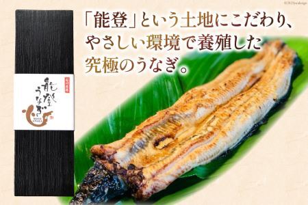 能登うなぎ 白焼 [ティ・エス・ピィ 石川県 志賀町 BZ4004]