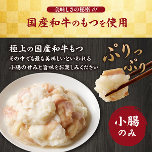 国産和牛もつ鍋（塩味）2～3人前×2セット ／ ちゃんぽん麺 もつ鍋【B067】