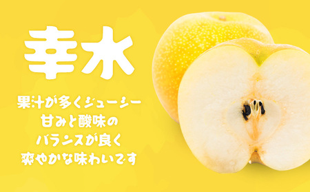 【先行予約・数量限定】幸水 梨 5kg 石川梨・ぶどう園 果物 フルーツ 贈り物 お取り寄せ フルーツ 【配送不可地域あり】（離島）