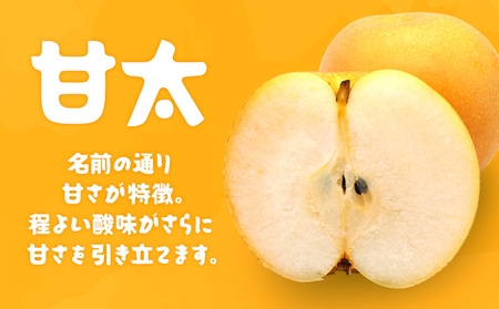 【先行予約・数量限定】甘太 梨 5kg 石川梨・ぶどう園 果物 フルーツ 贈り物 お取り寄せ フルーツ 【配送不可地域あり】（離島）