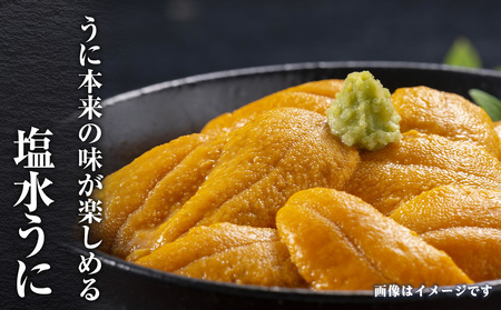 2026年 発送予約 ウニ本来の味が楽しめる【白老産】塩水ムラサキウニ 100g×2パック BT008