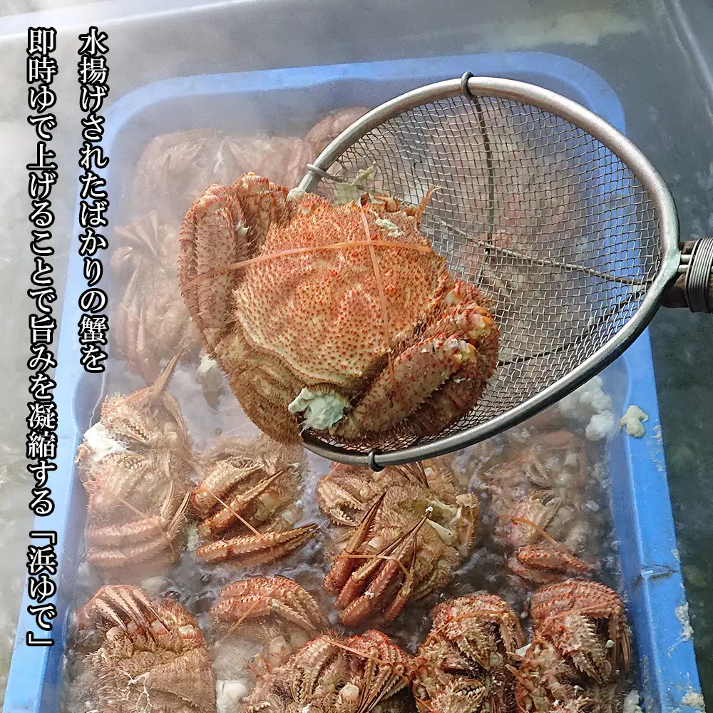 【小サイズ】北海道産 冷凍ボイル毛ガニ (350g-380g前後) 2尾 AS086