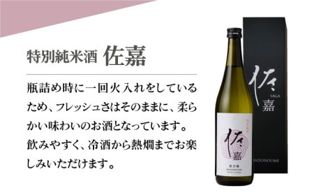 【The SAGA認定酒】佐嘉 特別純米酒 720mL×1本【白木酒店】[HAQ032]日本酒 佐嘉 特別純米酒 日本酒