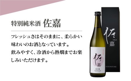 【The SAGA認定酒】佐嘉 飲み比べセットA【白木酒店】[HAQ035]日本酒 