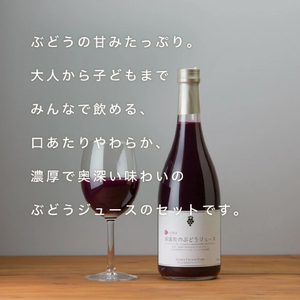 紫波町のぶどうジュース 2本セット 6か月熟成 濃厚100％ストレート 【 無添加 無加糖 】（AL062-1）