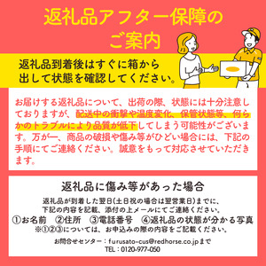 ナッツ 低糖質 無塩 4種 ミックスナッツ 1.2kg 400g 3袋 小分け 素焼き 生くるみ アーモンド ヘーゼルナッツ カシューナッツ 大容量 チャック付き おすすめ 健康 