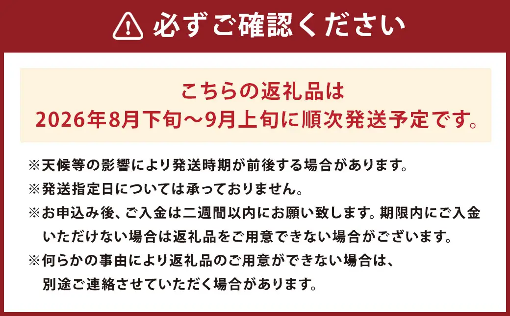時津町産 BKシードレス 約1.8kg ぶどう 果物 くだもの フルーツ 【2026年8月下旬～9月上旬迄発送予定】