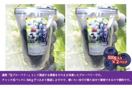 【先行予約】冷凍ブルーベリー 1㎏ | フルーツ 果物 ベリー