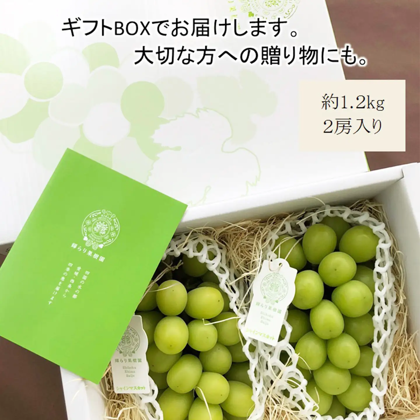 完熟朝摘みシャインマスカット 2房（1.2㎏）　シャインマスカット 夏ぶどう【7月下旬より発送】