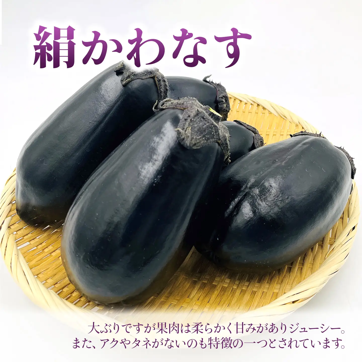 【茄子】絹かわなす 11～14本入り 6月中旬～7月発送 ナス 野菜
