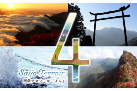 西条市の日本酒４蔵飲みくらべ『Saijo Terroir 4（西条テロワール「よん」）』（純米酒180ml×４種）