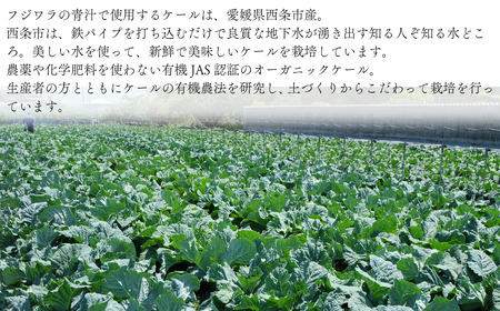 フジワラの青汁　冷凍タイプ（7袋入）×４｜ 有機ケール 国産