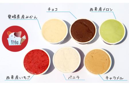 ジェラート６個セット（定番人気フレーバーと愛媛産フルーツソルベ）｜ ジェラート 食べ比べ