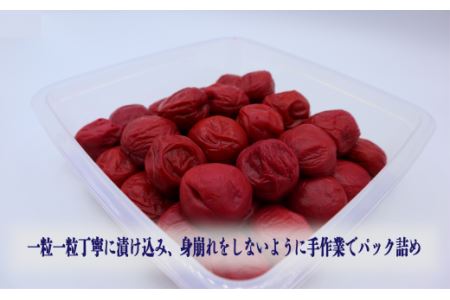 梅干「媛幸梅」しそ　750ｇ｜ 伊予南高梅