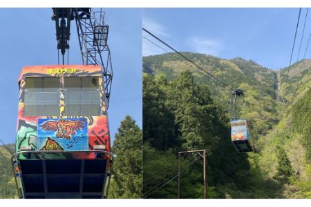 石鎚登山ロープウェイ乗車券 （大人１名様分／往復）