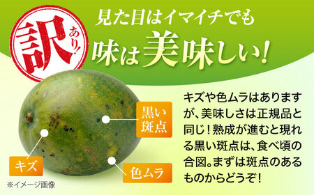 【先行予約 数量限定】 訳あり キーツマンゴー 約2kg (2〜5玉) マンゴー 沖縄 BCAA005