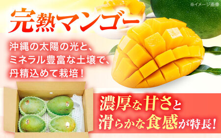 【先行予約 数量限定】 贈答用 キーツマンゴー 約2kg (2〜5玉 / 化粧箱入り) マンゴー 沖縄 BCAA006