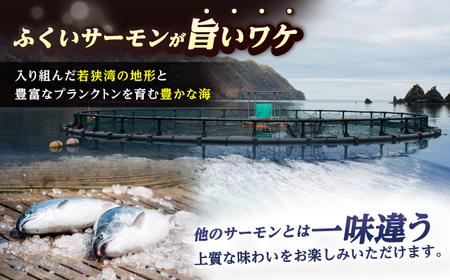 国産 ふくいサーモン 200g × 5パック 計1kg  刺身 サケ 鮭 [BFAA074] 【配送不可地域：北海道・沖縄・離島】 