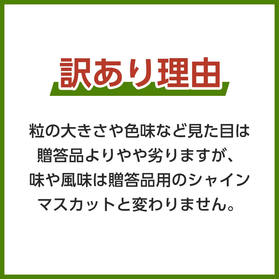 【 2026年9月上旬から発送開始 】 シャインマスカット ご家庭用 1.4kg 以上（ 2房 ～ 3房 ） マスカット ぶどう 葡萄 旬 果物 くだもの フルーツ 訳あり 自宅用 家庭用 数量限定 茨城[BZ001sa]