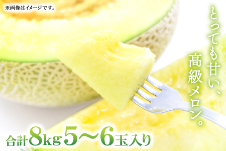 B-160 益田産アールスメロン8kg（5～6玉入り）【秋作】