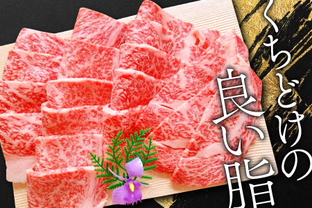 B-288 松永和牛A5ランク　焼肉用ロース　400g