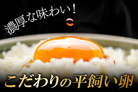 A-791 大久保さんちの元気たまご 平飼い 40個