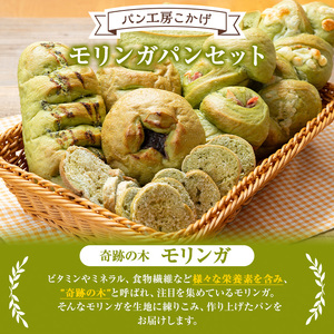 【A65001】大隅産 モリンガパン セット 80サイズ詰め合せ 14個前後 国産 パン スーパーフード ラスク 冷凍 手作り 【パン工房こかげ】