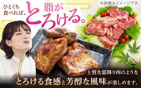 沖縄県産 豚肉 豚足・ソーキ (スペアリブ) 3kg  BCAJ014 