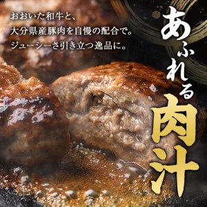 塩糀 ハンバーグ (合計1.2kg・120g×10個 ハンバーグソース×10個付) 国産 冷凍 冷凍ハンバーグ 大分県産 豚肉 牛肉 おおいた和牛 豊後牛 おかず 惣菜 大分県 佐伯市【BD221】【西日本畜産 (株)】