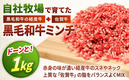 【12回定期便】黒毛和牛100%ミンチ 1kg / ひき肉  [IAX022]